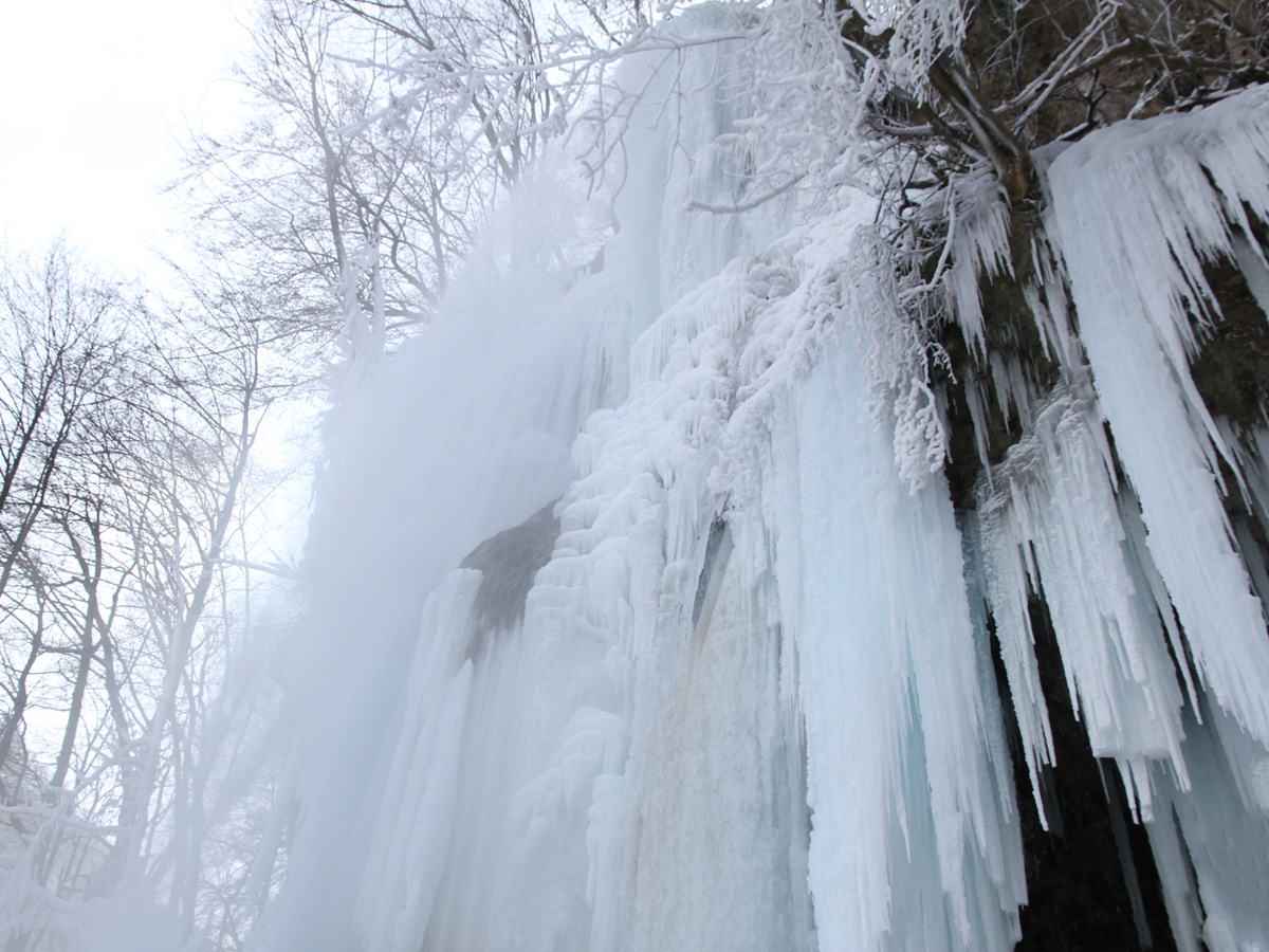 Uracher Wasserfall, eine unvergleichliche Pracht an Eiszapfen in der winterlichen Landschaft in Bad Urach.